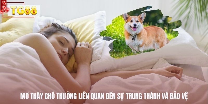 Mơ thấy chó thường liên quan đến sự trung thành và bảo vệ