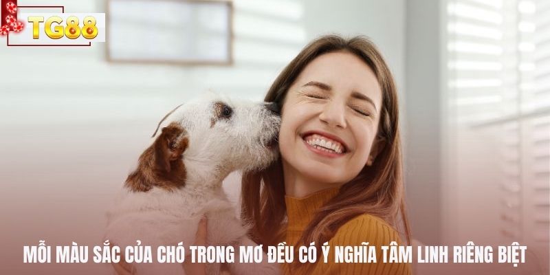 Mỗi màu sắc của chó trong mơ đều có ý nghĩa tâm linh riêng biệt
